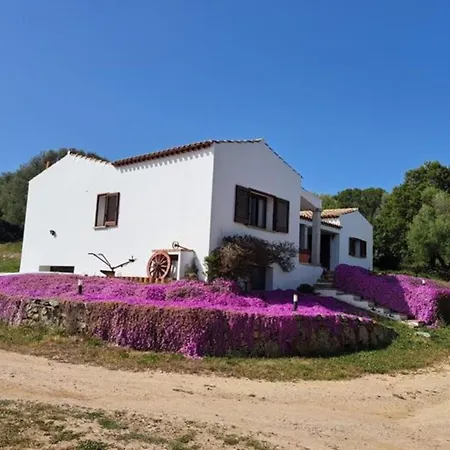 La Suara Manna - Happy