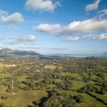 La Suara Manna - Happy * Telti