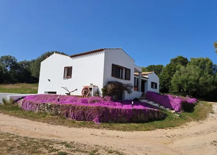 La Suara Manna - Happy