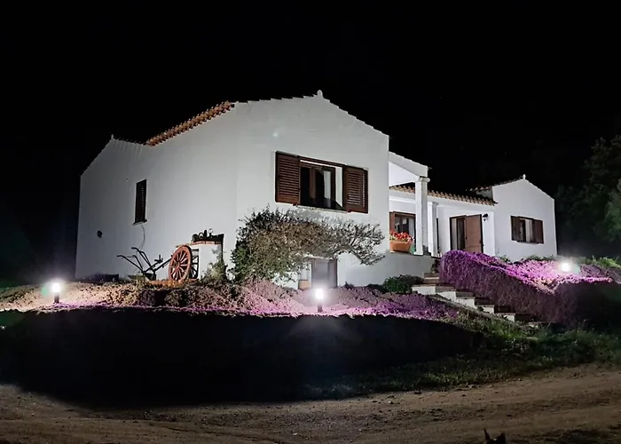 Apartamento La Suara Manna - Happy