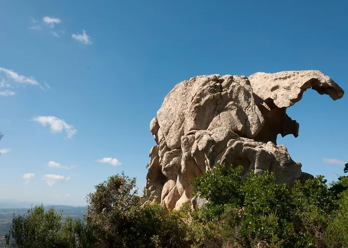 La Suara Manna - Happy Apartment *