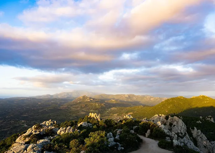 La Suara Manna - Happy *